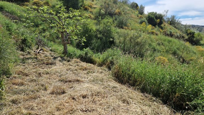 Image No.47-3 Bed Country House for sale