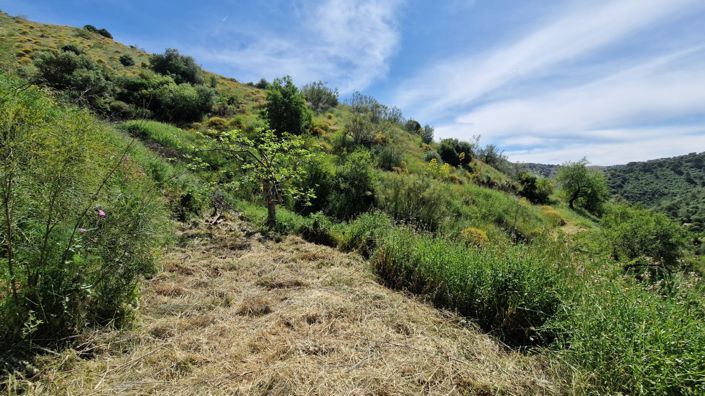 Image No.48-3 Bed Country House for sale