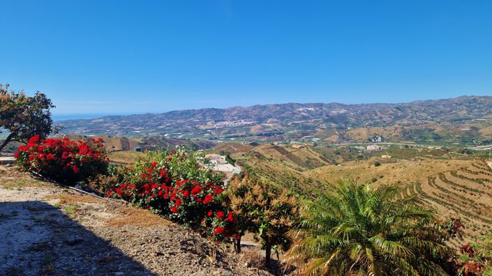 Image No.20-4 Bed Country House for sale