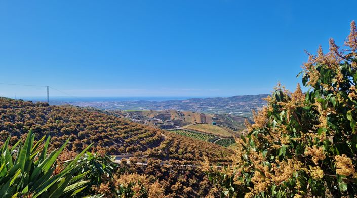 Image No.22-4 Bed Country House for sale