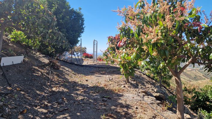 Image No.26-4 Bed Country House for sale