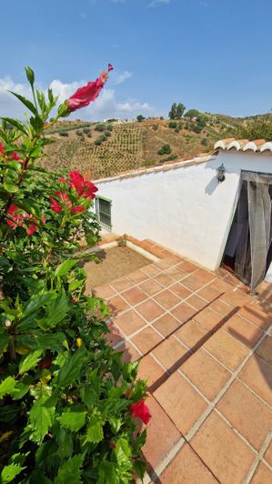 Image No.30-4 Bed Country House for sale