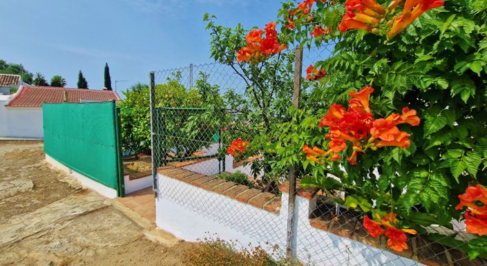 Image No.4-4 Bed Country House for sale