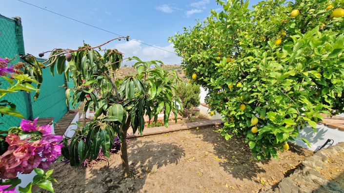 Image No.5-4 Bed Country House for sale