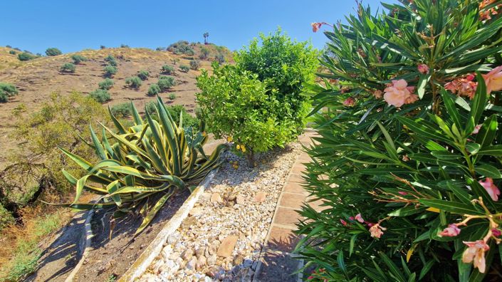 Image No.48-4 Bed Country House for sale