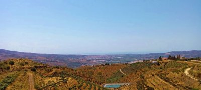 e6etmwxqpcdwhatsapp20image202025-06-2920at201