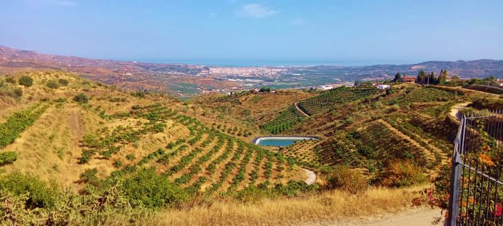 Image No.8-4 Bed Country House for sale