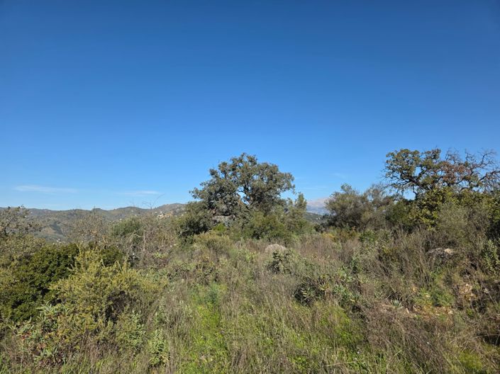 Image No.11-3 Bed Property for sale