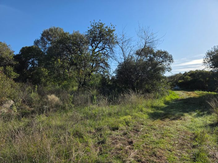 Image No.12-3 Bed Property for sale