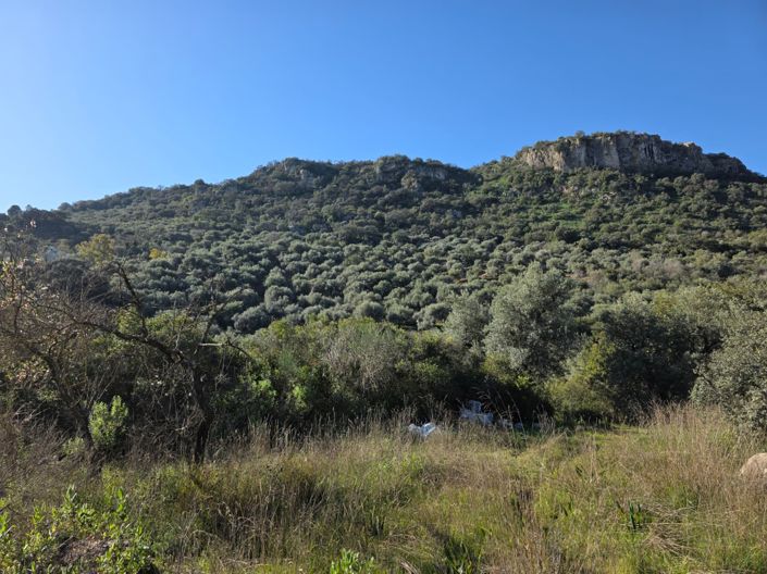 Image No.15-3 Bed Property for sale