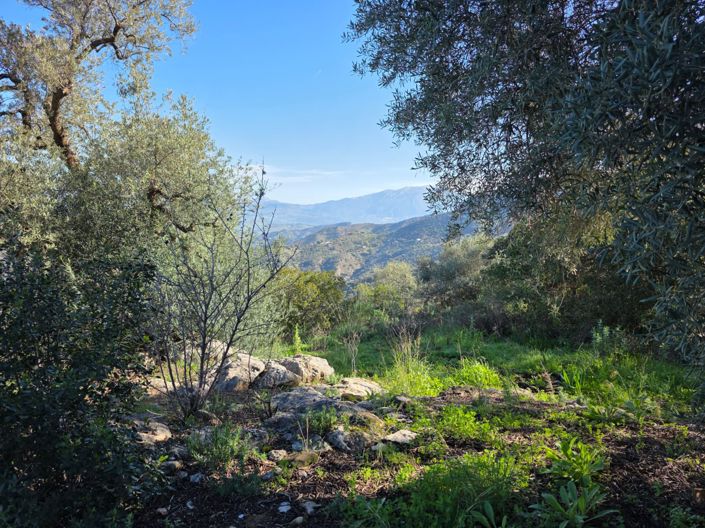 Image No.9-3 Bed Property for sale