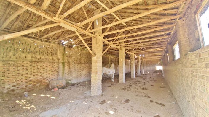 Image No.38-8 Bed Country House for sale