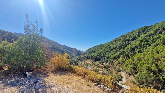 Image No.30-3 Bed Country House for sale