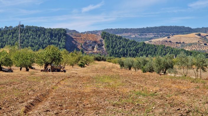 Image No.25-2 Bed Country House for sale