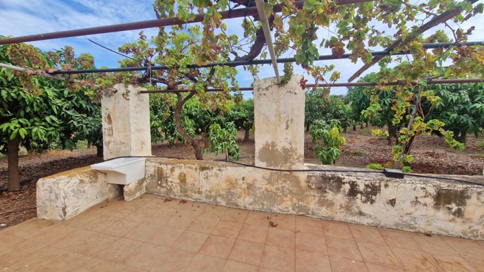 Image No.33-3 Bed Farmhouse for sale