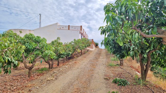 Image No.37-3 Bed Farmhouse for sale