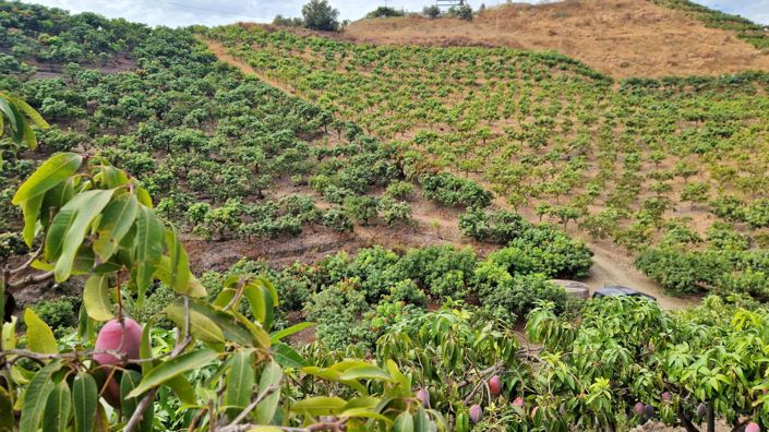 Image No.38-3 Bed Farmhouse for sale