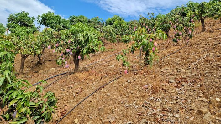 Image No.39-3 Bed Farmhouse for sale