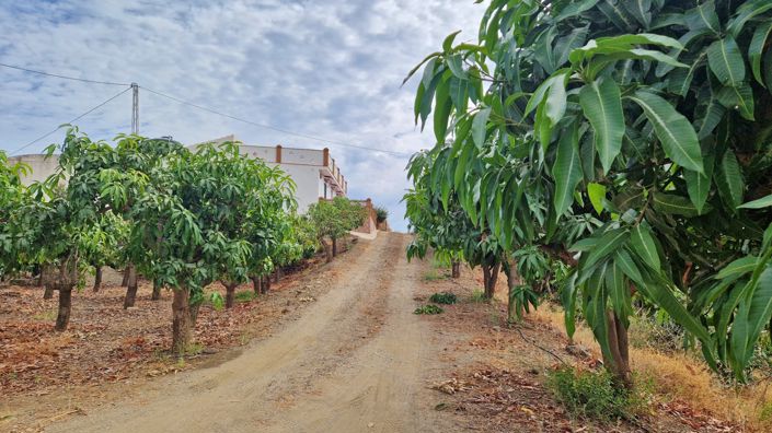 Image No.41-3 Bed Farmhouse for sale