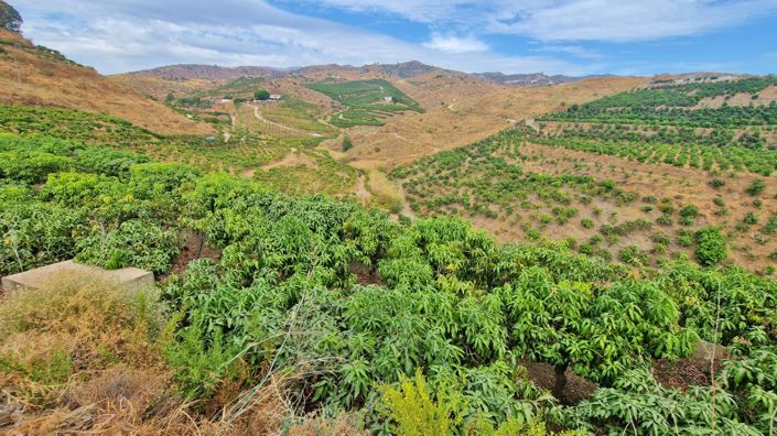 Image No.44-3 Bed Farmhouse for sale