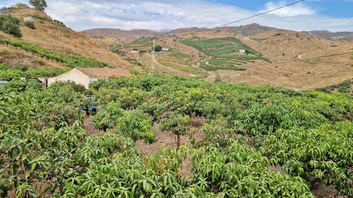 Image No.45-3 Bed Farmhouse for sale