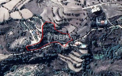 20446-agricultural-land-for-sale-in-polemiful