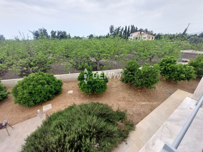 Image No.19-5 Bed Villa for sale