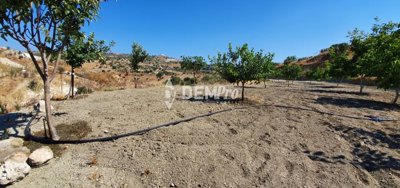 52711-agricultural-land-for-sale-in-armoufull