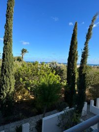 60187-house-for-sale-in-prodromifull