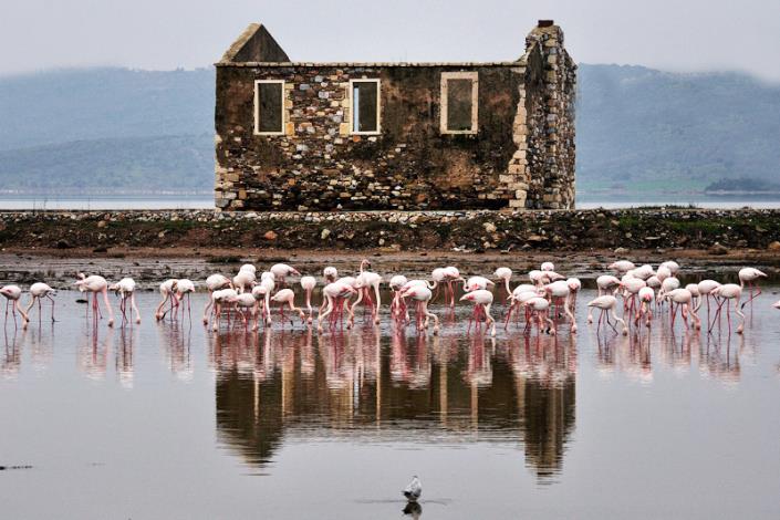 Image No.29-2 Bed Duplex for sale