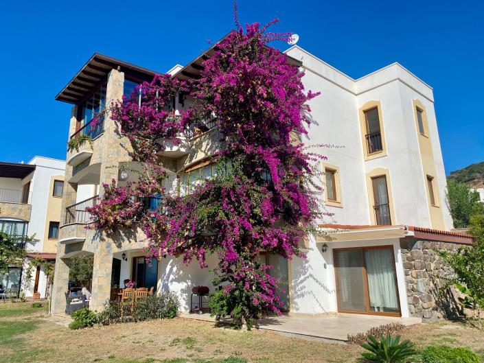 Image No.31-2 Bed Duplex for sale