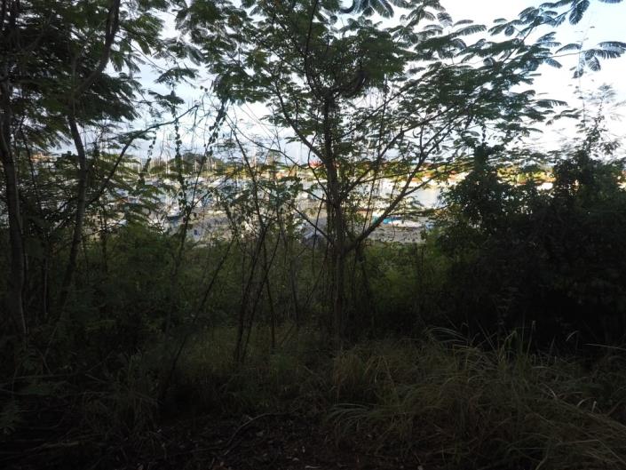 Image No.2-Land for sale