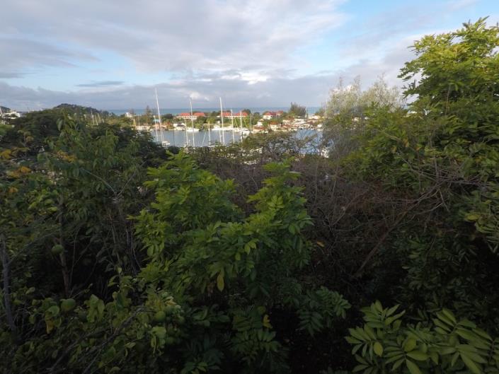 Image No.3-Land for sale