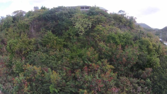 Image No.5-Land for sale