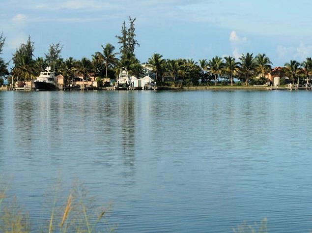 Image No.2-Land for sale