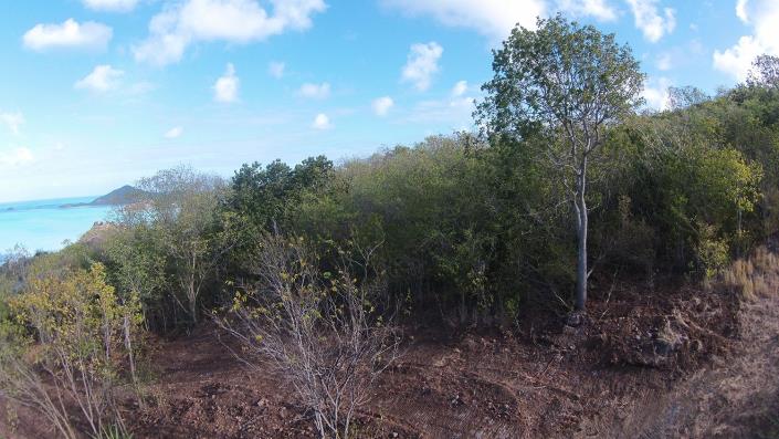 Image No.7-Land for sale