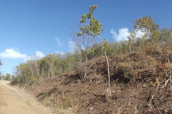 Image No.25-Land for sale