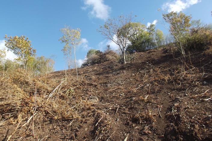 Image No.27-Land for sale