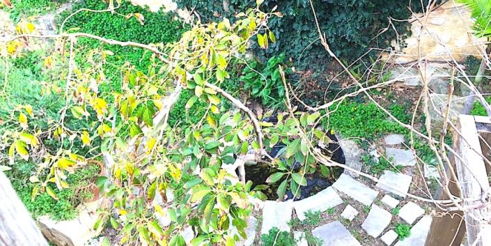 Image No.26-4 Bed House for sale