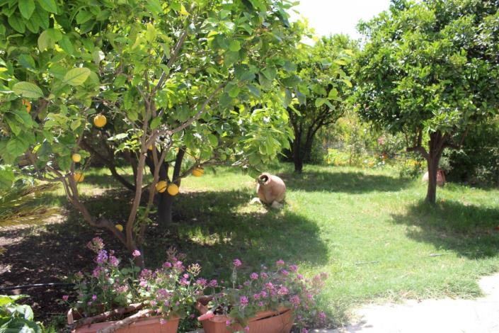 Image No.17-4 Bed Villa for sale