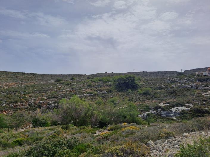 Image No.12-Land for sale