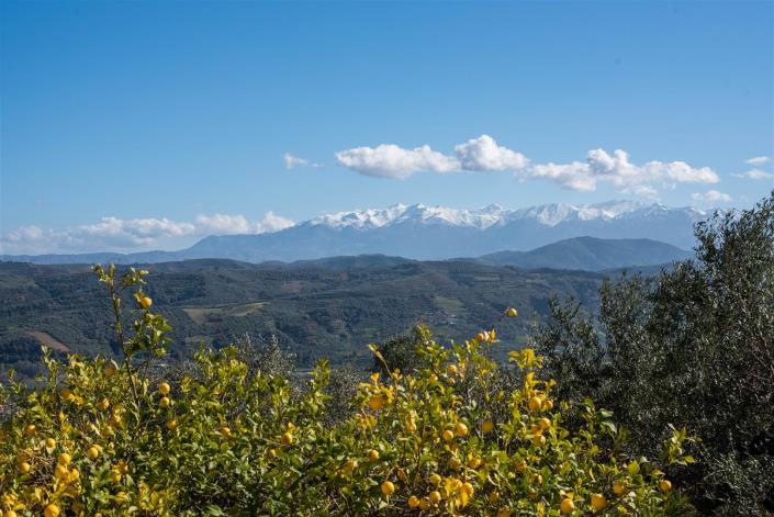 Image No.8-5 Bed Villa for sale