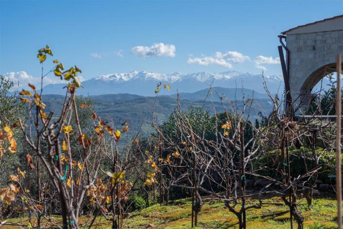 Image No.11-5 Bed Villa for sale