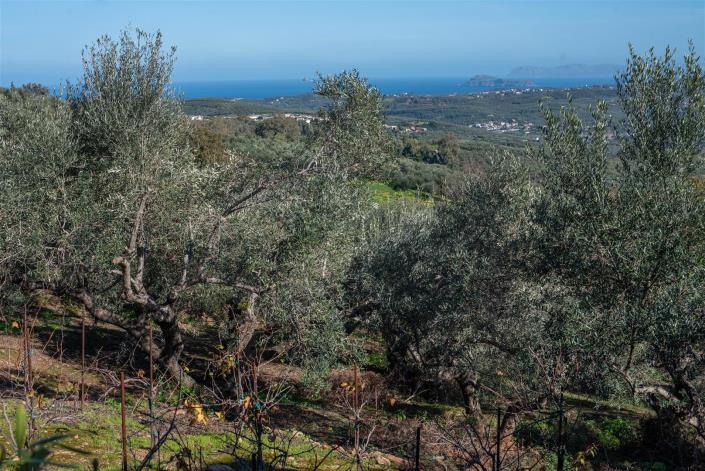 Image No.12-5 Bed Villa for sale