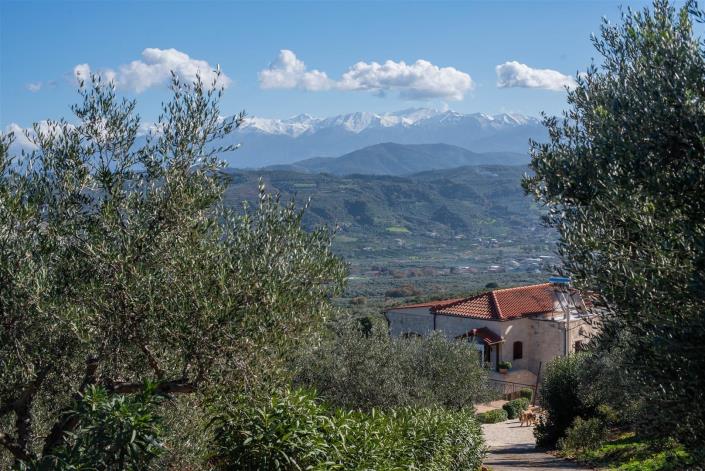 Image No.42-5 Bed Villa for sale