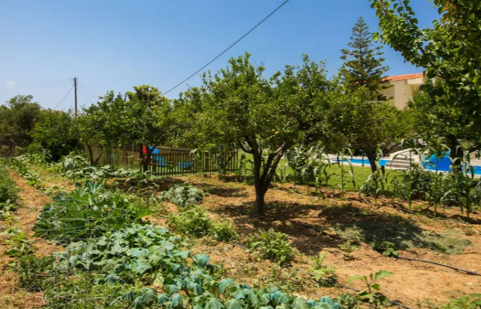 Image No.12-5 Bed Villa for sale