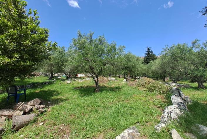 Image No.7-3 Bed Villa for sale