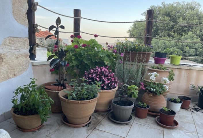 Image No.40-2 Bed House for sale