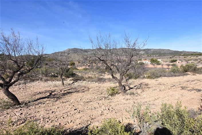 Image No.25-6 Bed Villa for sale