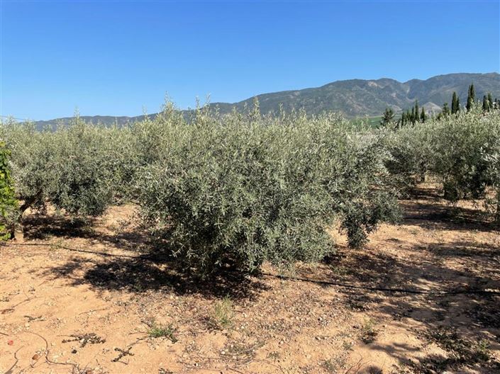 Image No.14-2 Bed Country House for sale